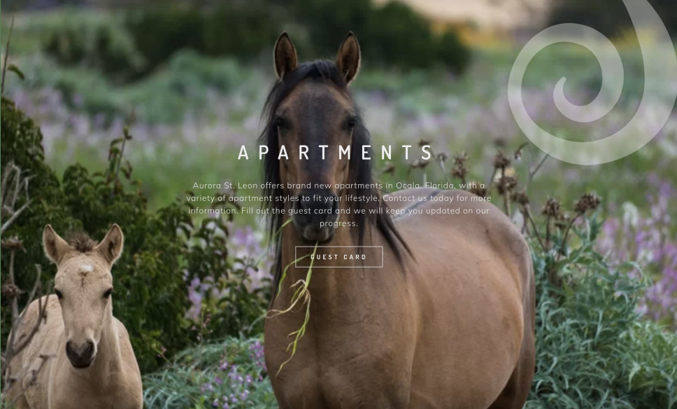 A horse and a foal standing next to each other on a website about Property Management.