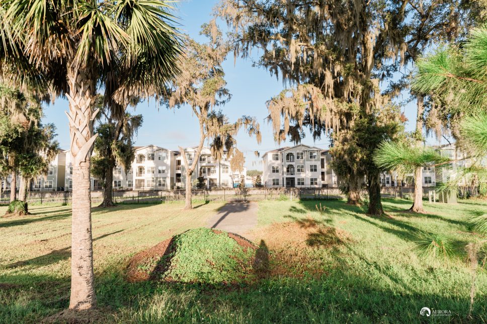 A property management area with palm trees and buildings in the background.